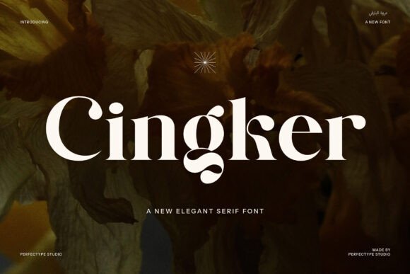 Cingker Font for Web Design