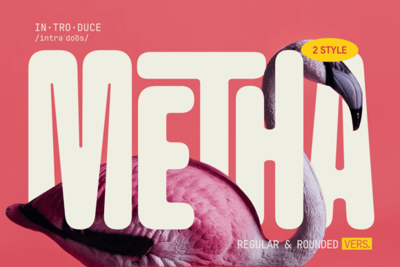 Metha Font Review